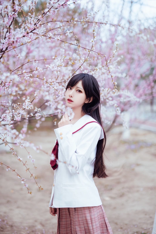 樱花 - Shika小鹿鹿